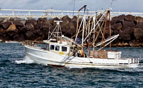 In Alameda, family farmers and family fishermen can find debt relief under Chapter 12 of the U.S. Bankruptcy Code; contact a qualified Alameda Bankruptcy Lawyer for a free initial consultation.